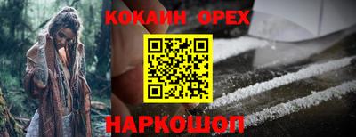мдпв Кандалакша
