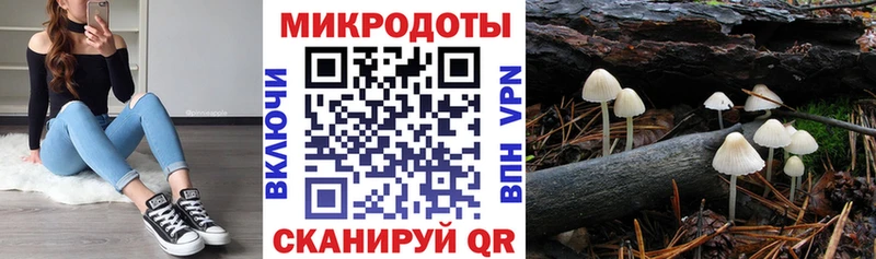 Псилоцибиновые грибы мицелий  продажа наркотиков  Шадринск 
