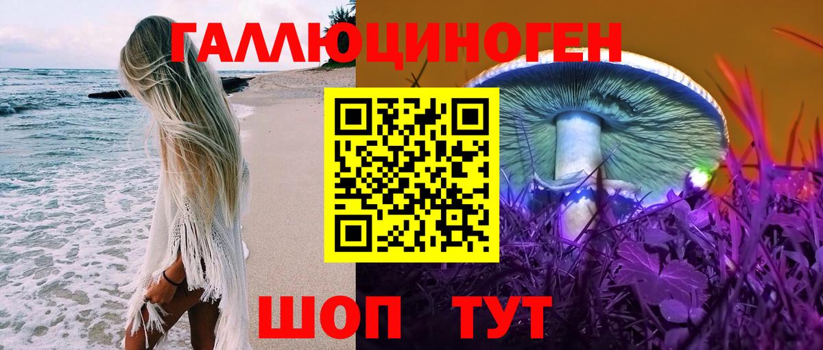 Псилоцибиновые грибы Psilocybine cubensis  Псилоцибиновые грибы прущие грибы  Шадринск 