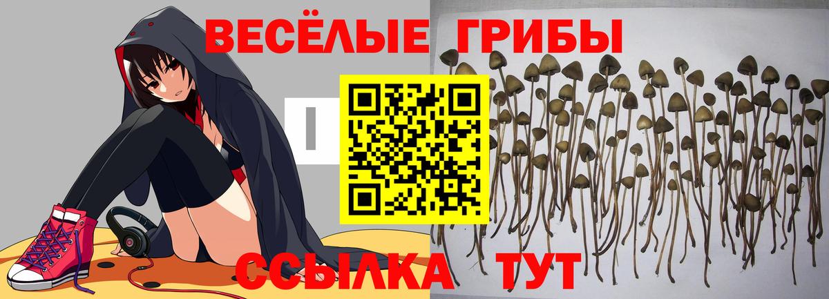Галлюциногенные грибы мухоморы Шадринск